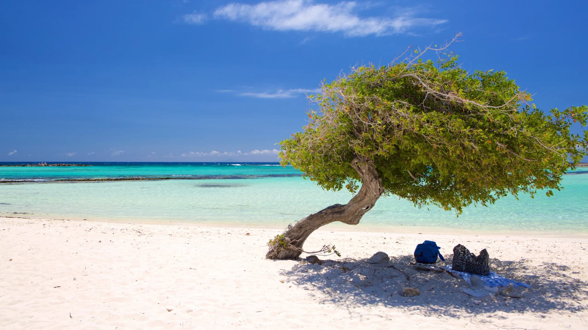 Hermosa Vista de la Playa en Aruba